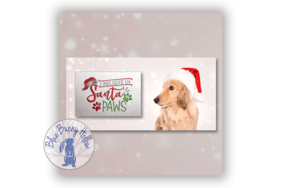 I Believe in Santa Paws: A Designer's Real-World Review